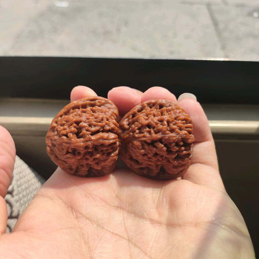 核缘（接手工打底）