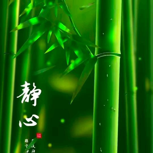 懂得珍💖惜💝才💕配❤️拥💞