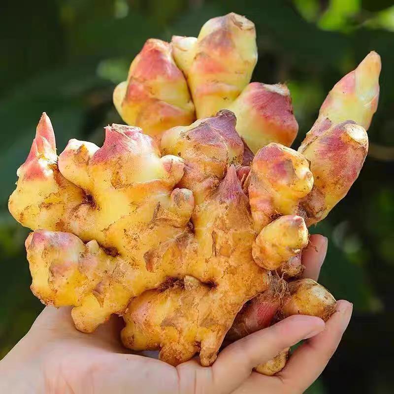 立始走东专卖店