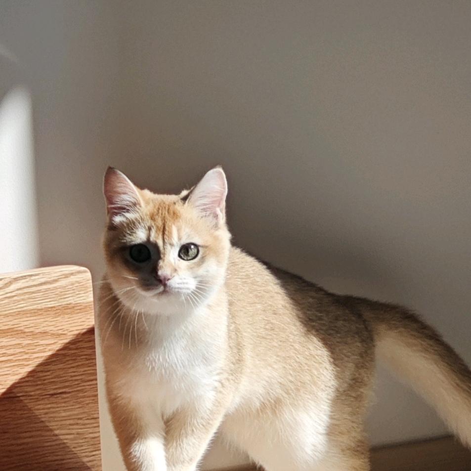 润润😺和生生😽