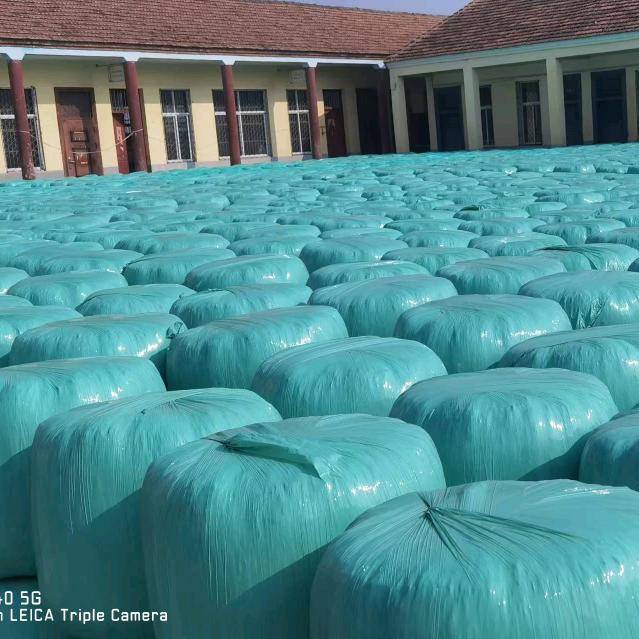 亳州市优质黄储 王亮