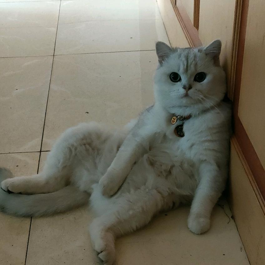 人