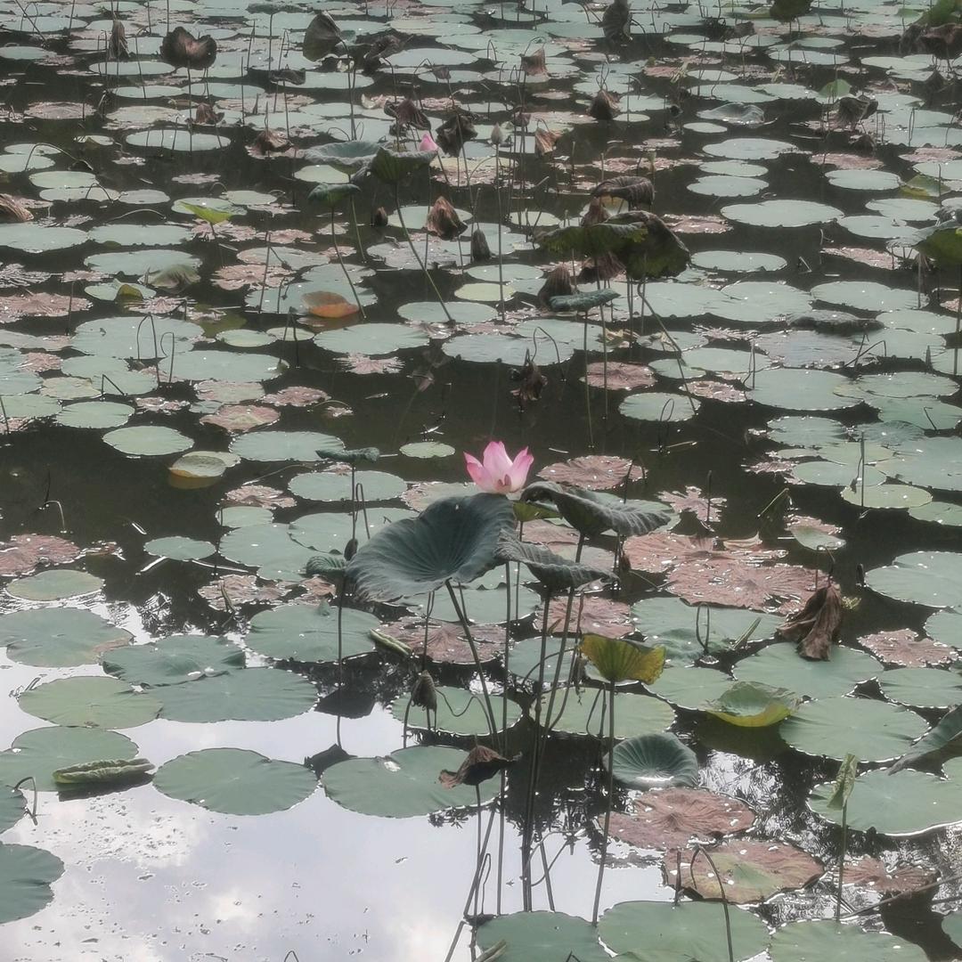 小宝宝
