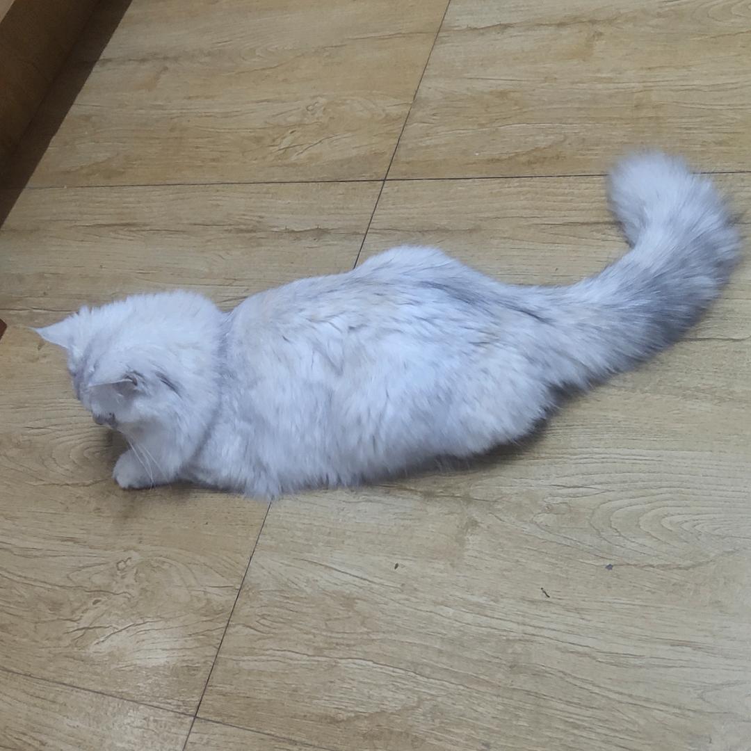 欧欧9.22