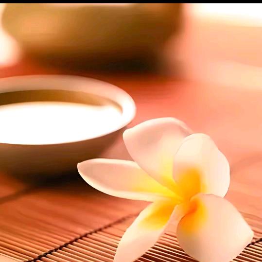 我不能没有你