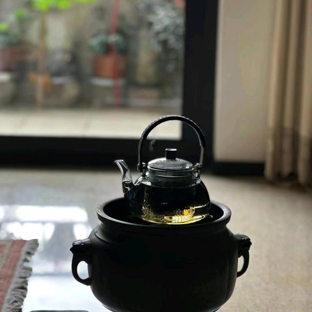 会飞的猪猪