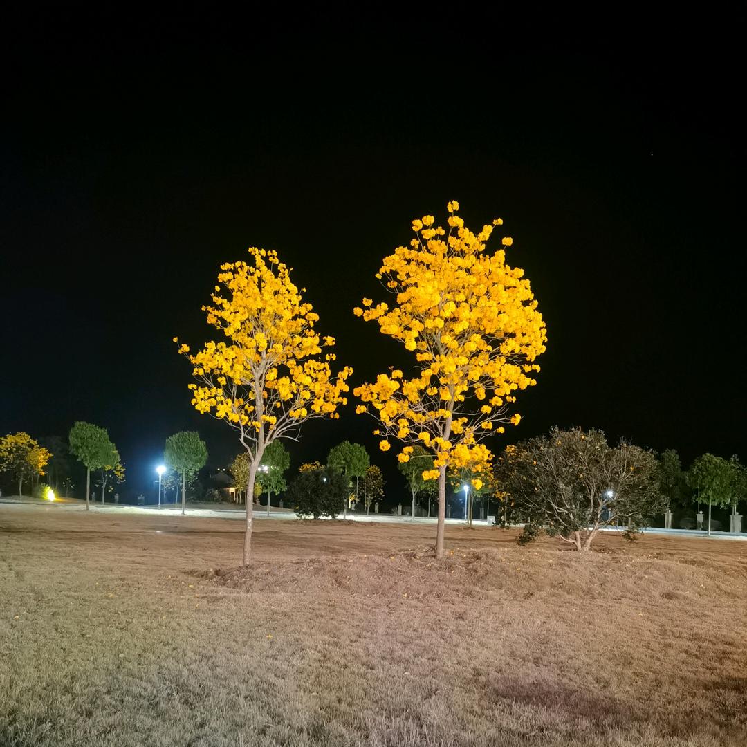 @不忘初心