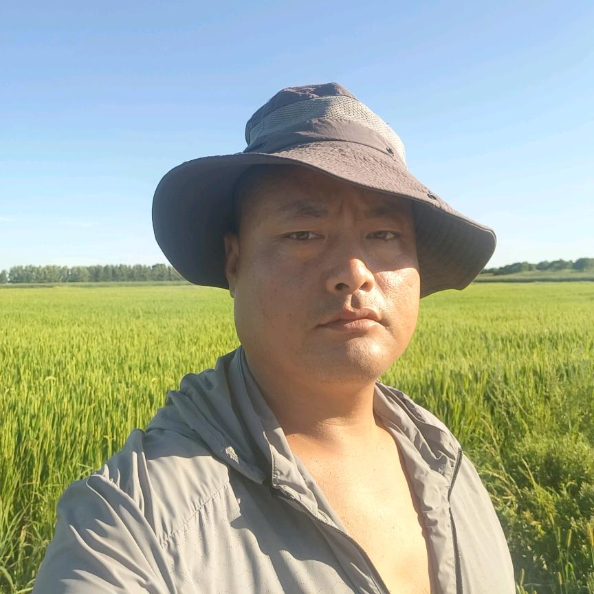 东北小赵