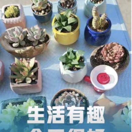花些心思