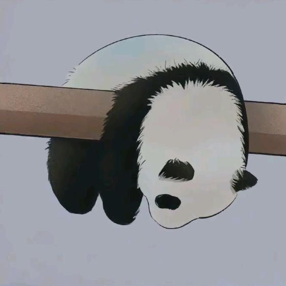 赵紫豪(保温材料)