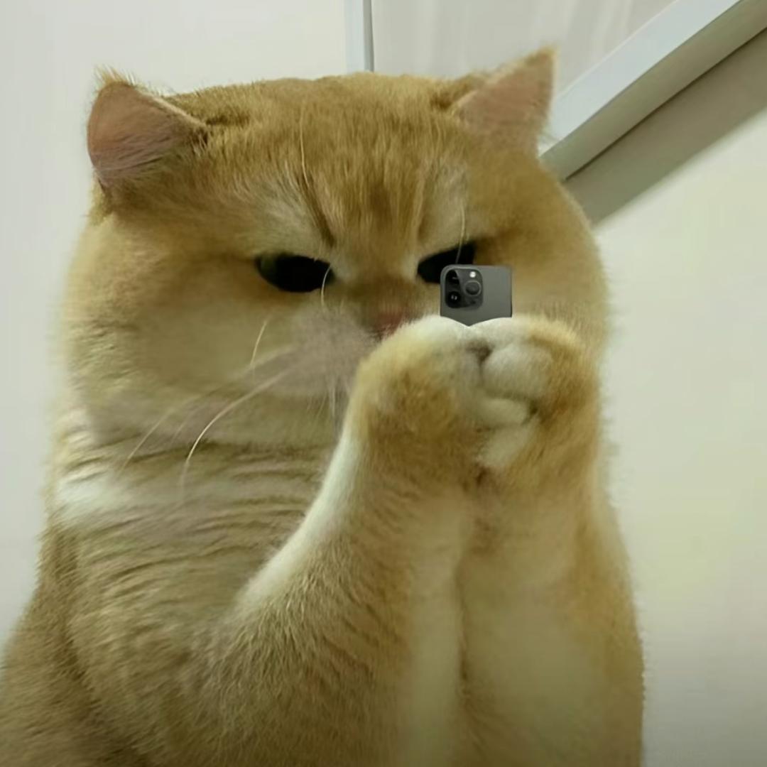 金时