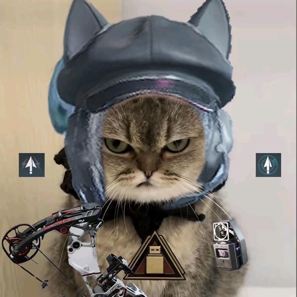 一起去看日落的海