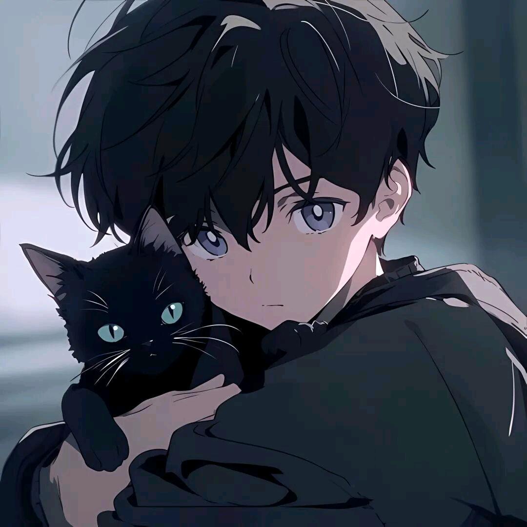 苦茶纸【封票】