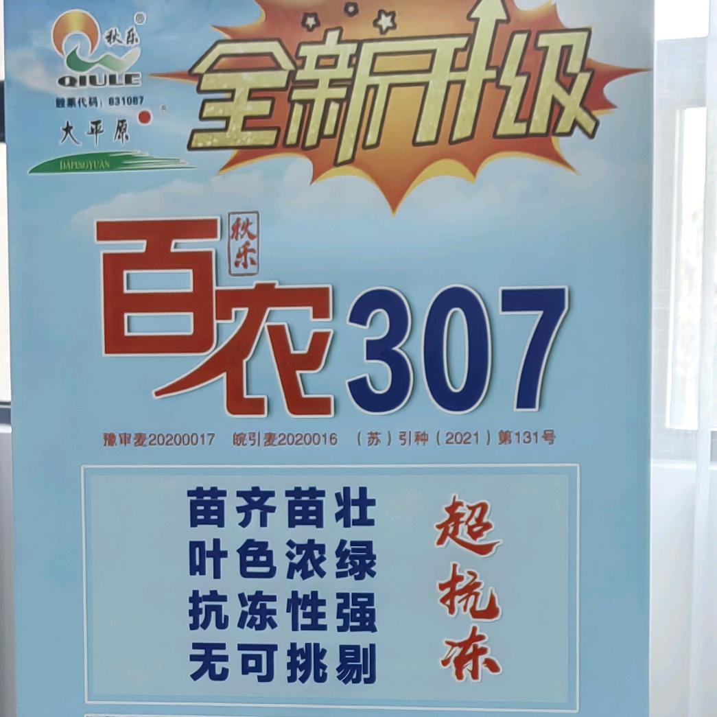 百农307源头工厂
