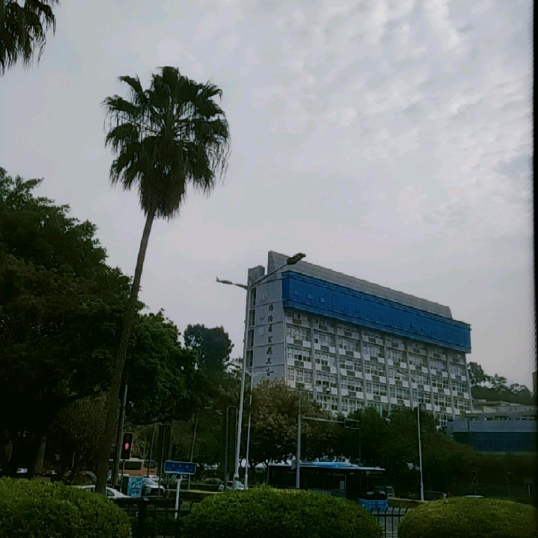 鼓浪屿之歌