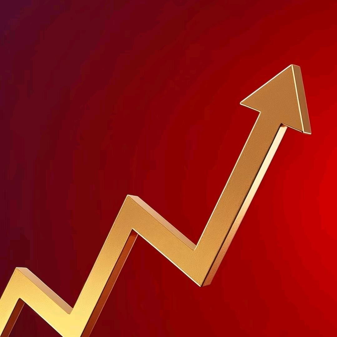 炒股养龟慢生活