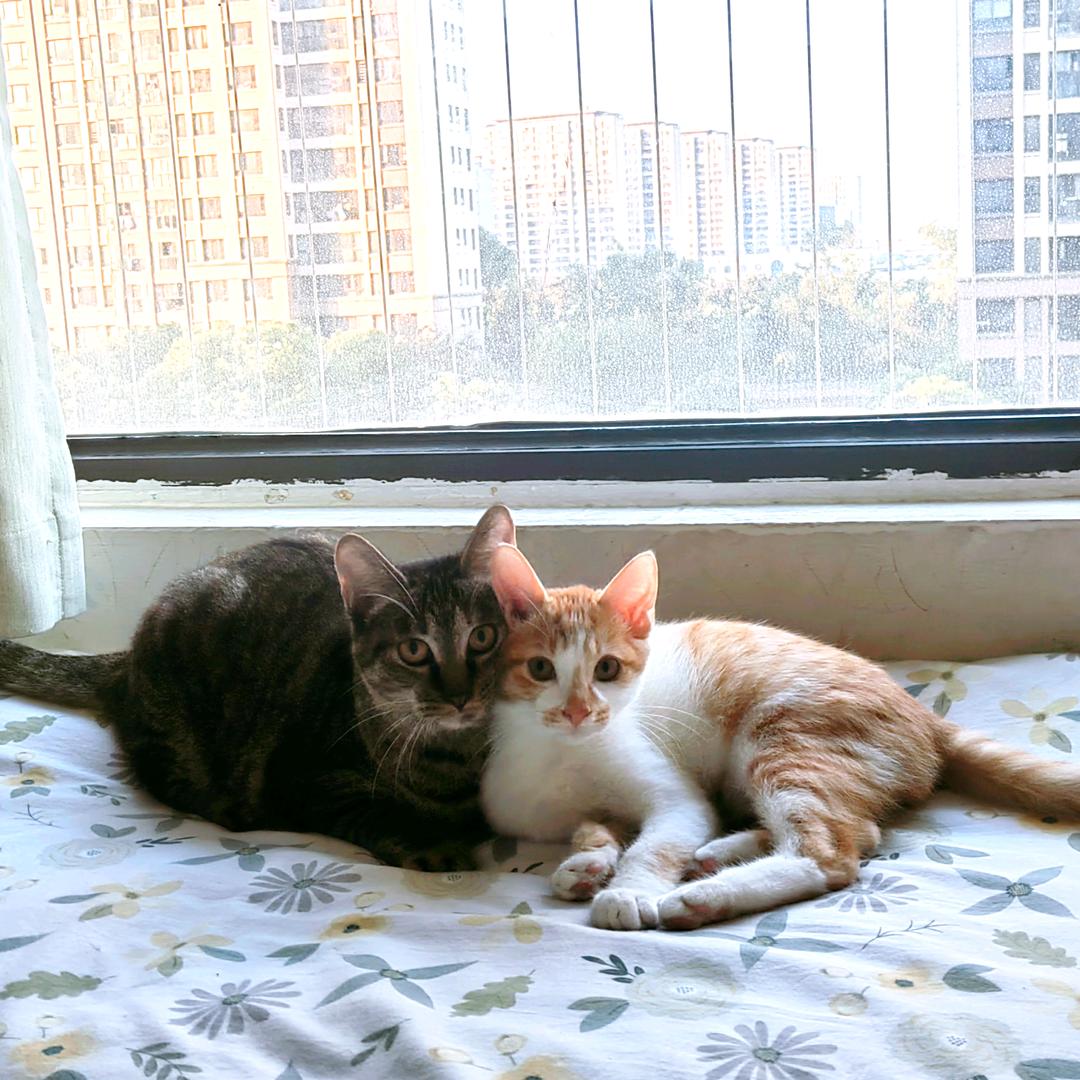 叫什么名字好呢