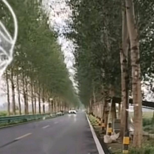 ，一个人挺好。