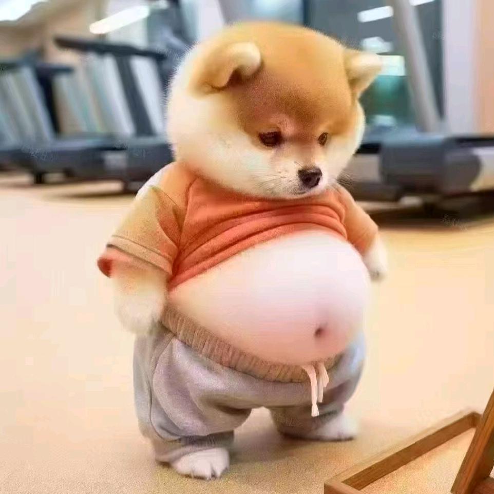 曙光♥♥♥