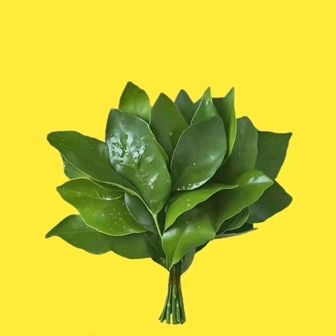 一十五