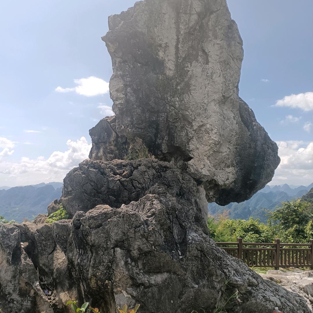 我也是这样过来的