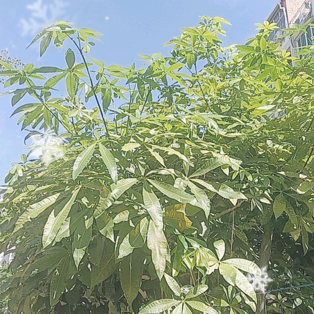 逛逛