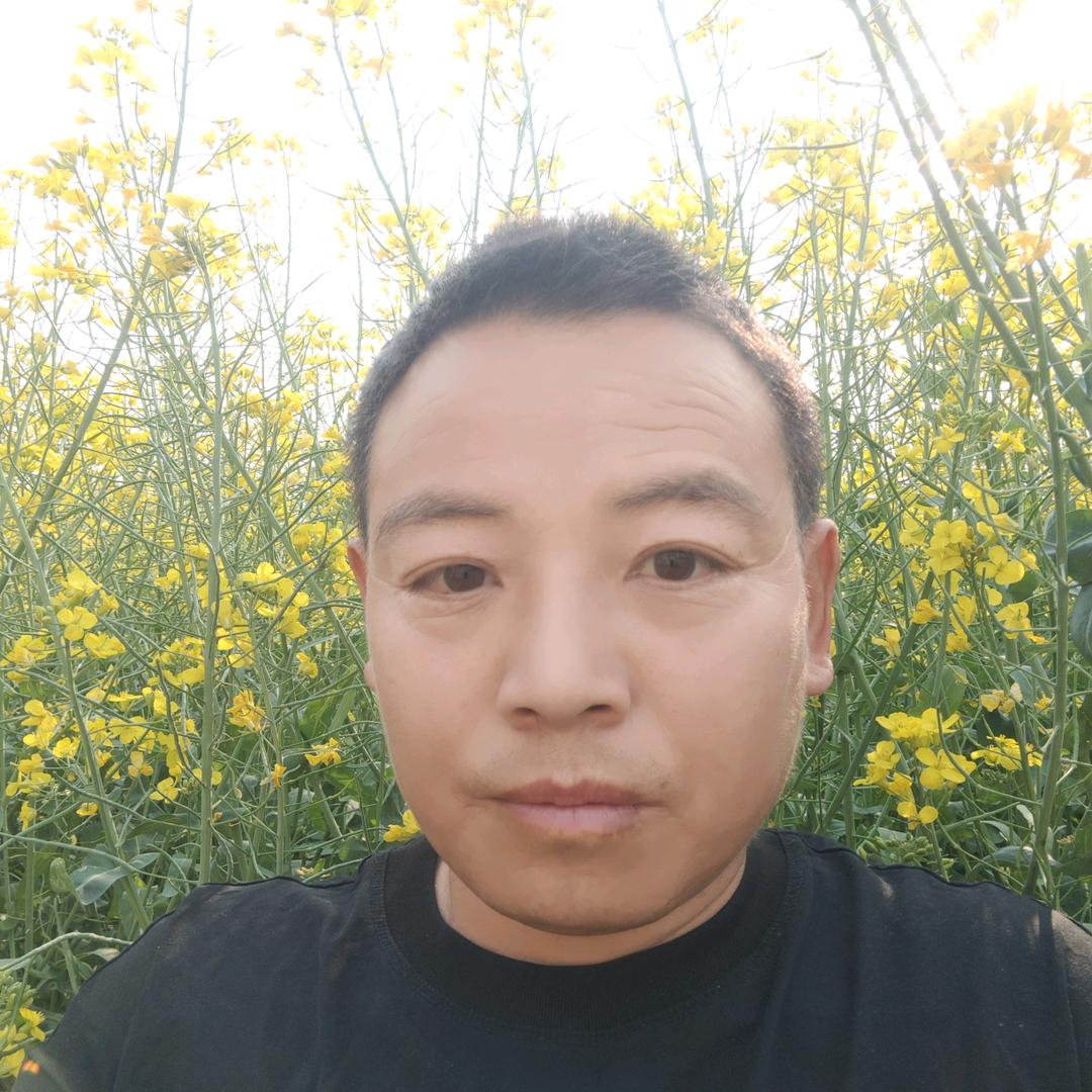 为你停刘