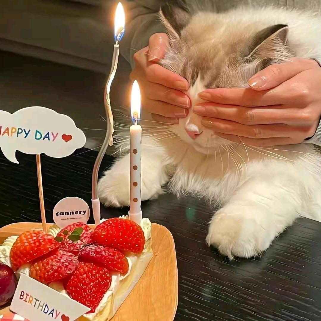 小黄爱美食