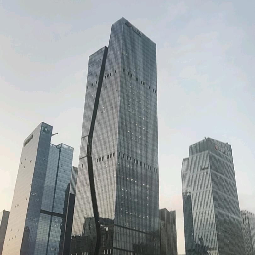 深圳松年国际旅行社有限公司