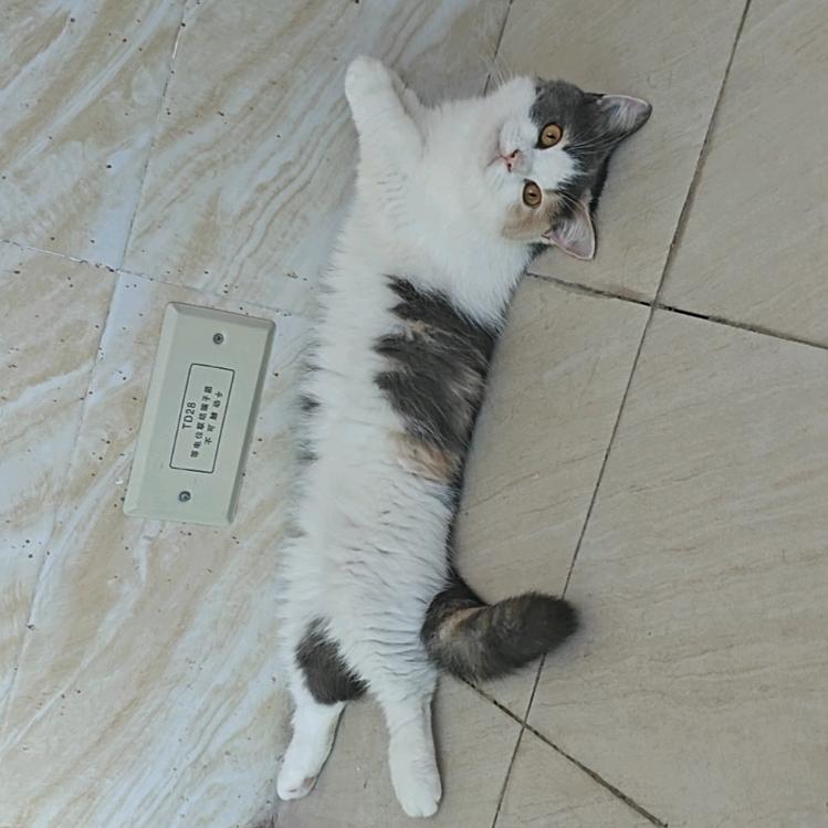 花落时相遇～Yu