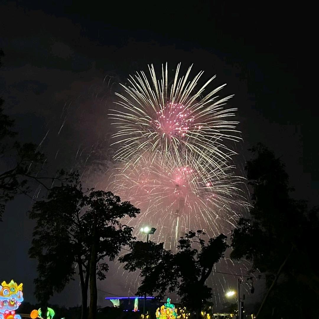 小老虎