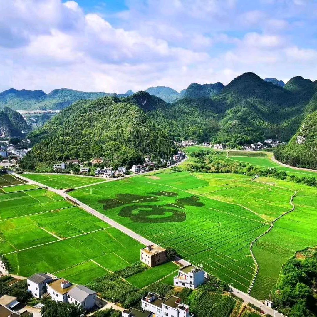 花漾时光民宿