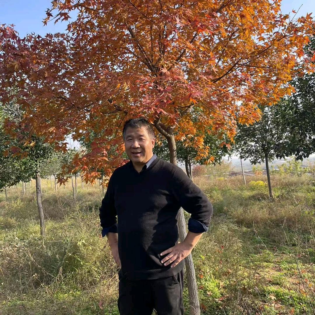 白马山枫林农场｜礼泉九嵕山土猪肉