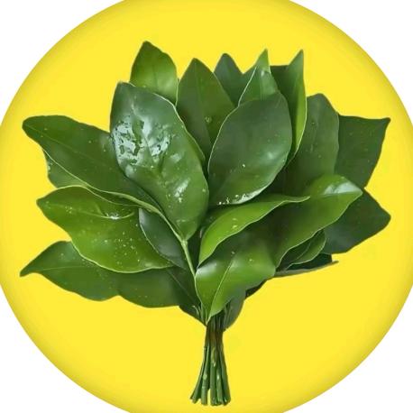 初心不忘💰💰