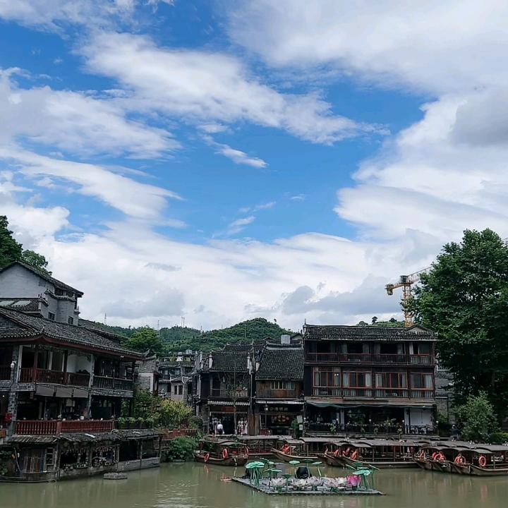 蓝狐