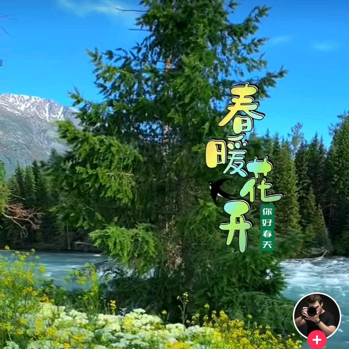 灵姐