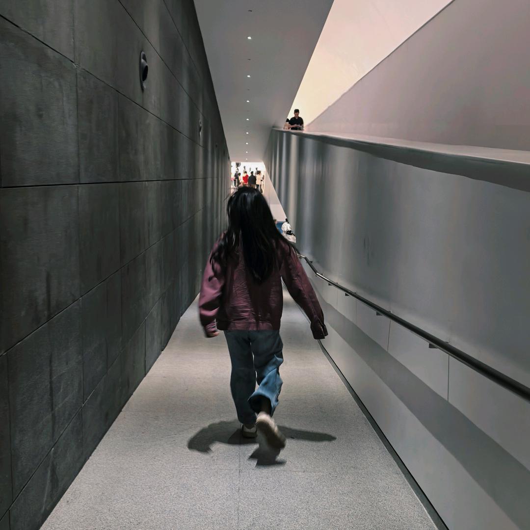 舟舟