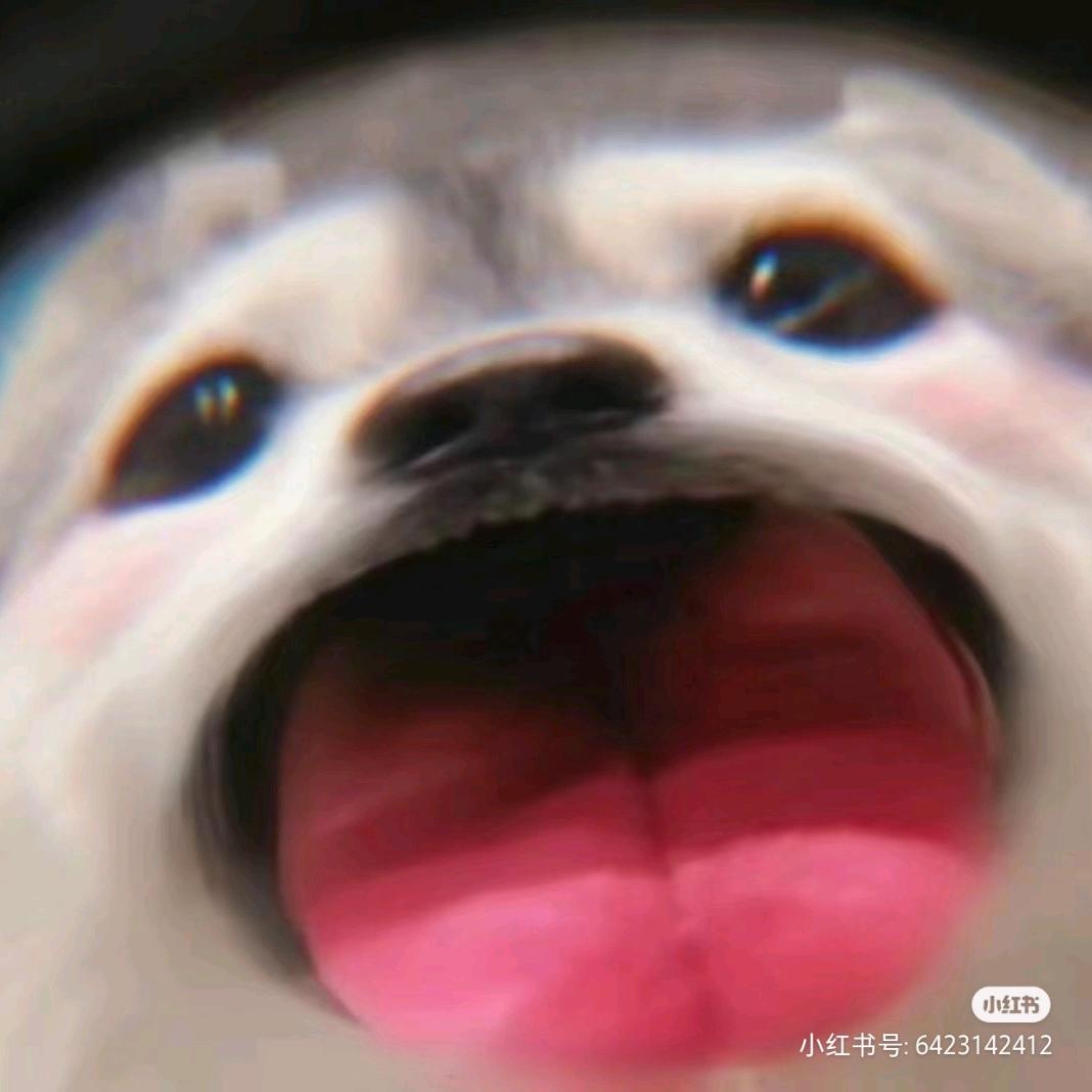 羊毛早知道