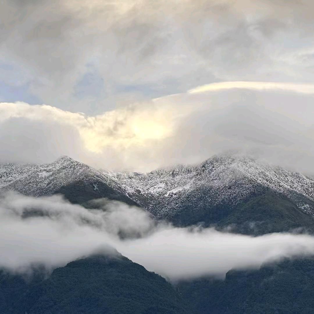 ༺༒☯貔貅拓宝疆☯༒༻