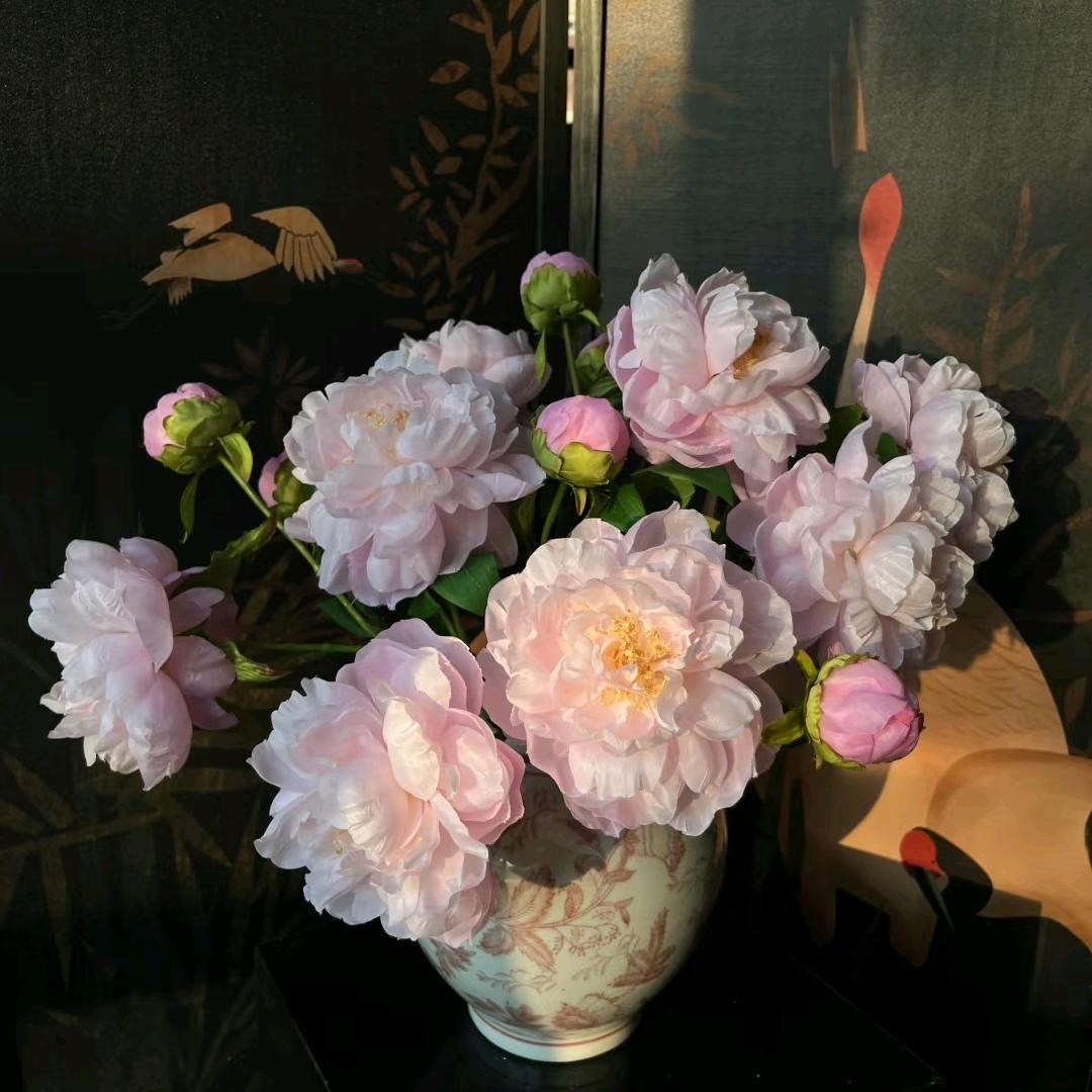慕梵-艾琳