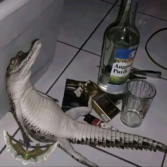 aaa不抽香烟