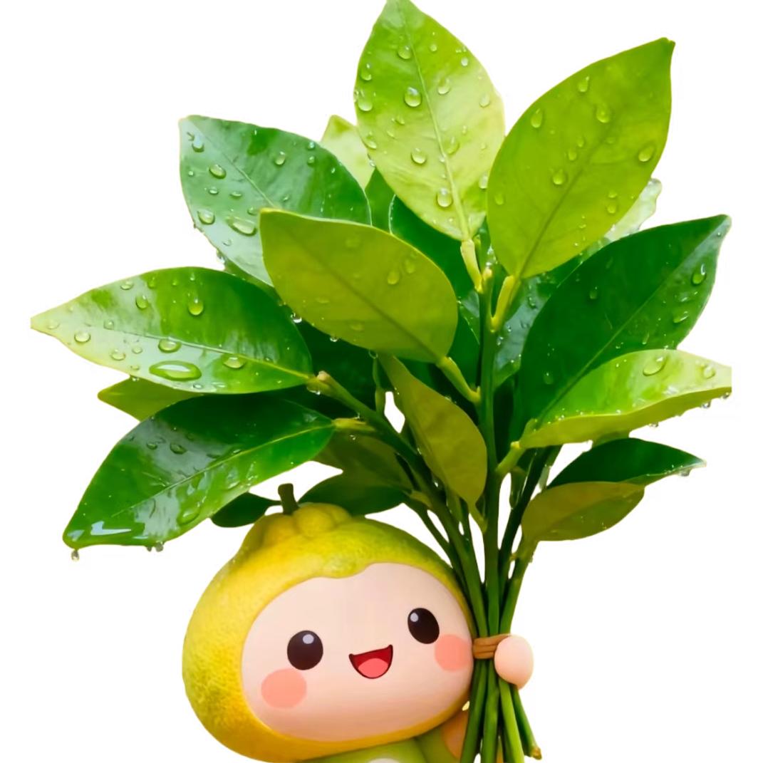 爱生活好物分享