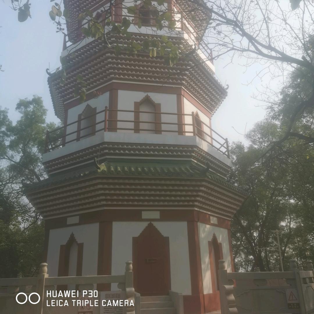 情缘🍅🍑🍑爱唱山歌