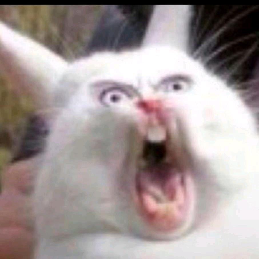 飞扬通讯和林新区店