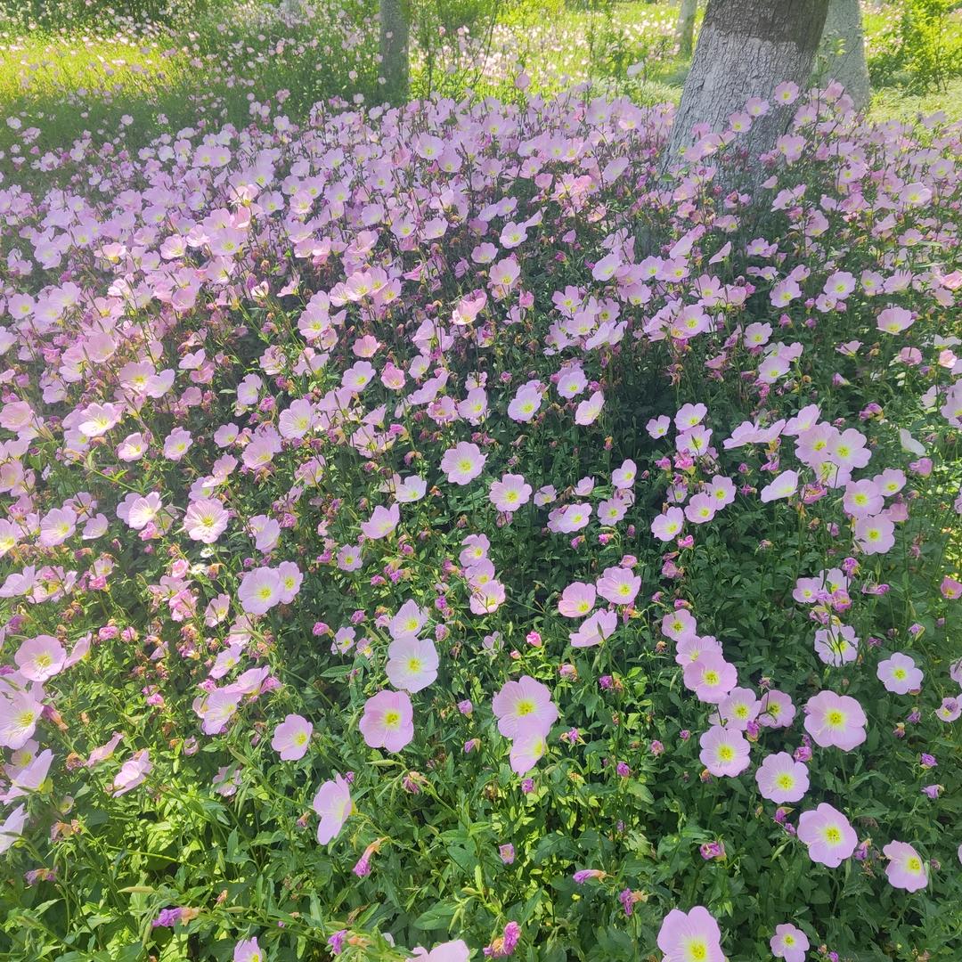 钱海燕