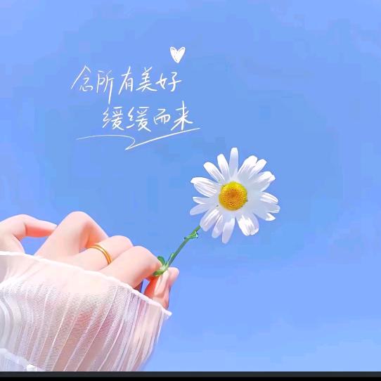 布丁香香