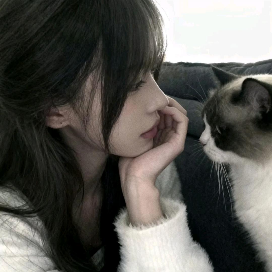 茕茕萤缨.
