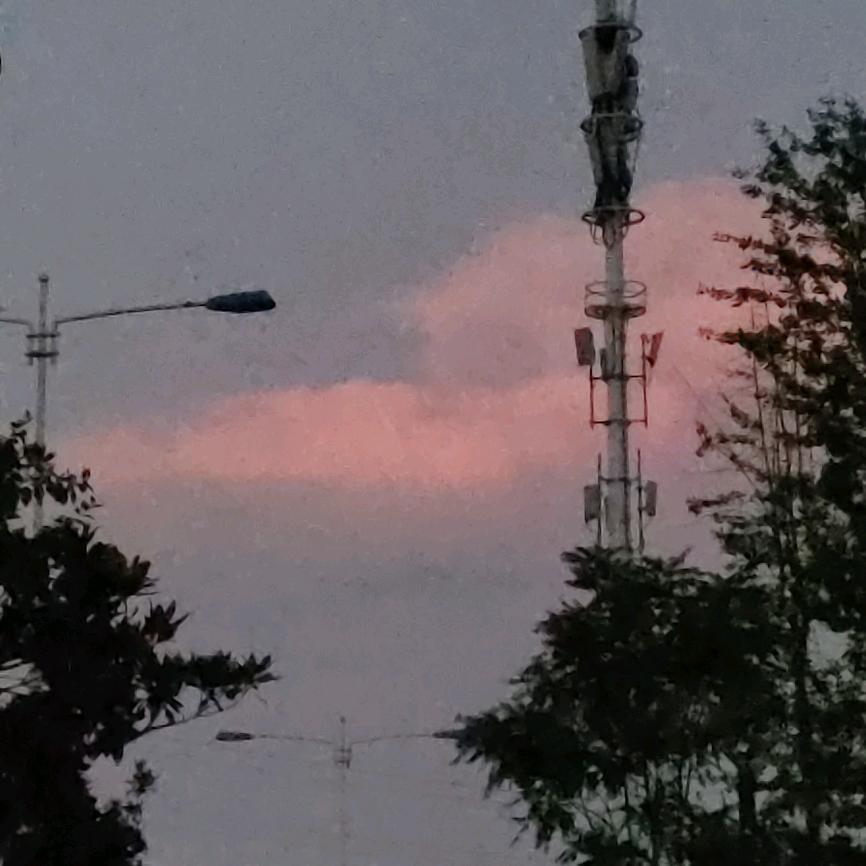 阿银（三角洲行动）