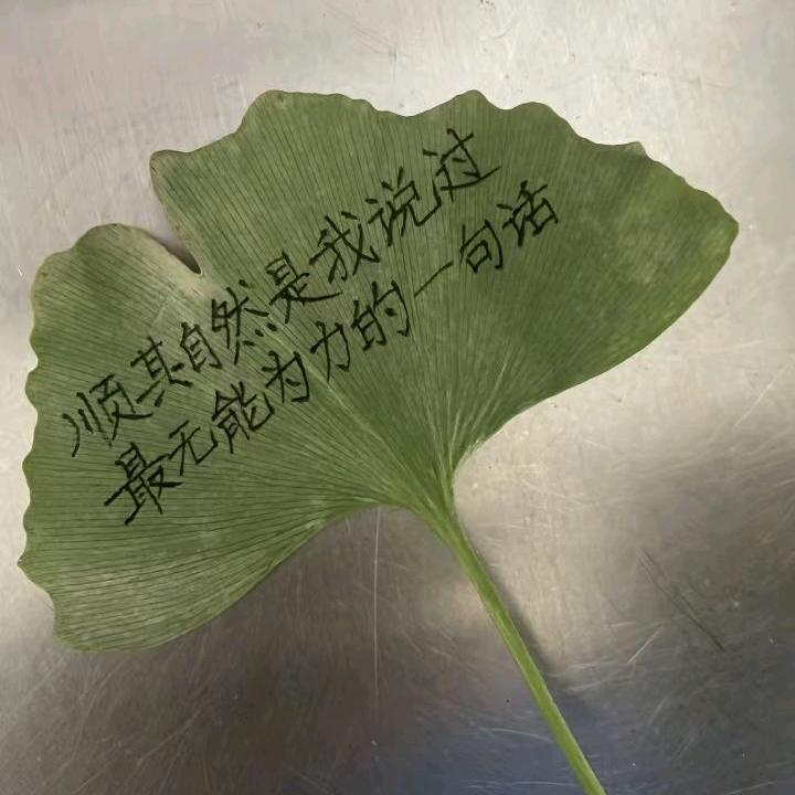 重新来过