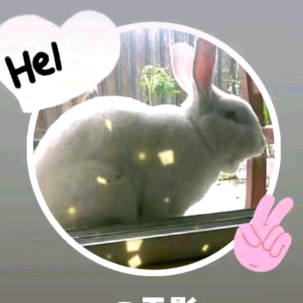 那年遇见你